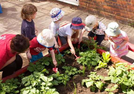 vegetable patch apple trees childcare flamstead