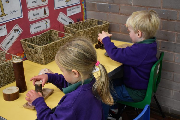 Crafty wizards photos 1