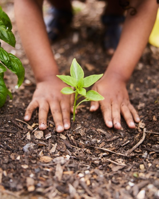 Why Nature-Based Childhoods Matter More Than Ever