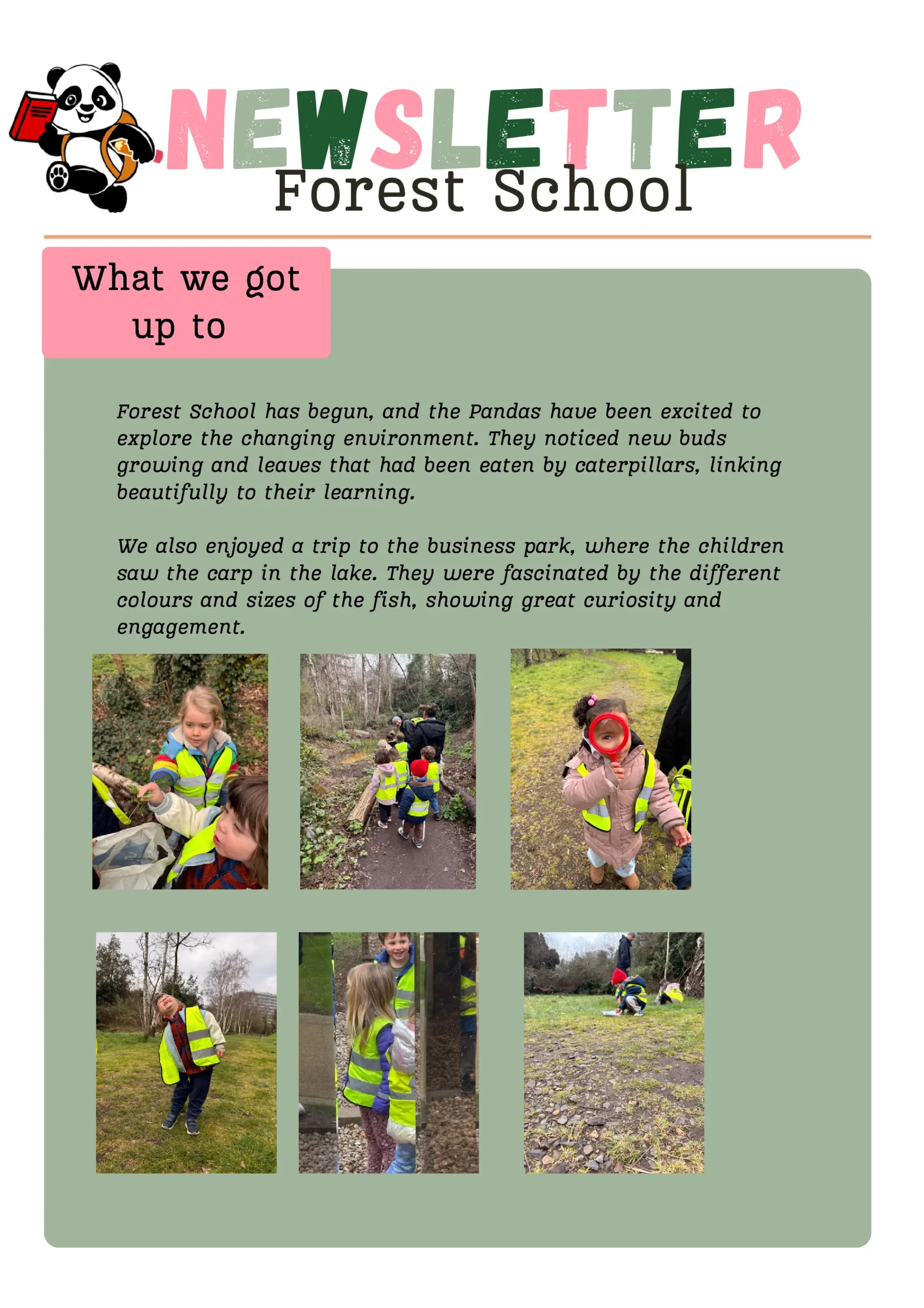 Newsletter - March 2026-8