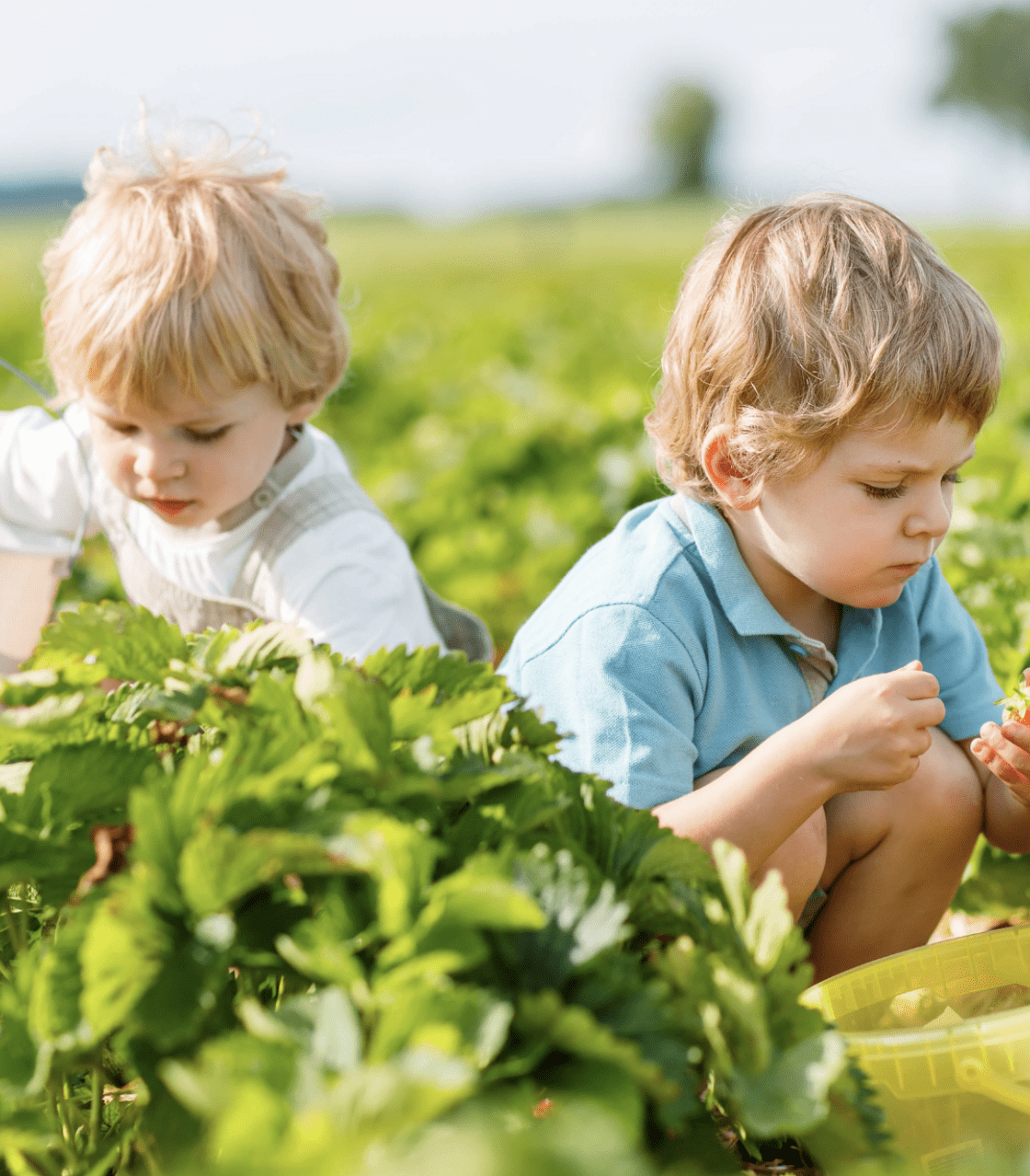 Learning Beyond the Classroom