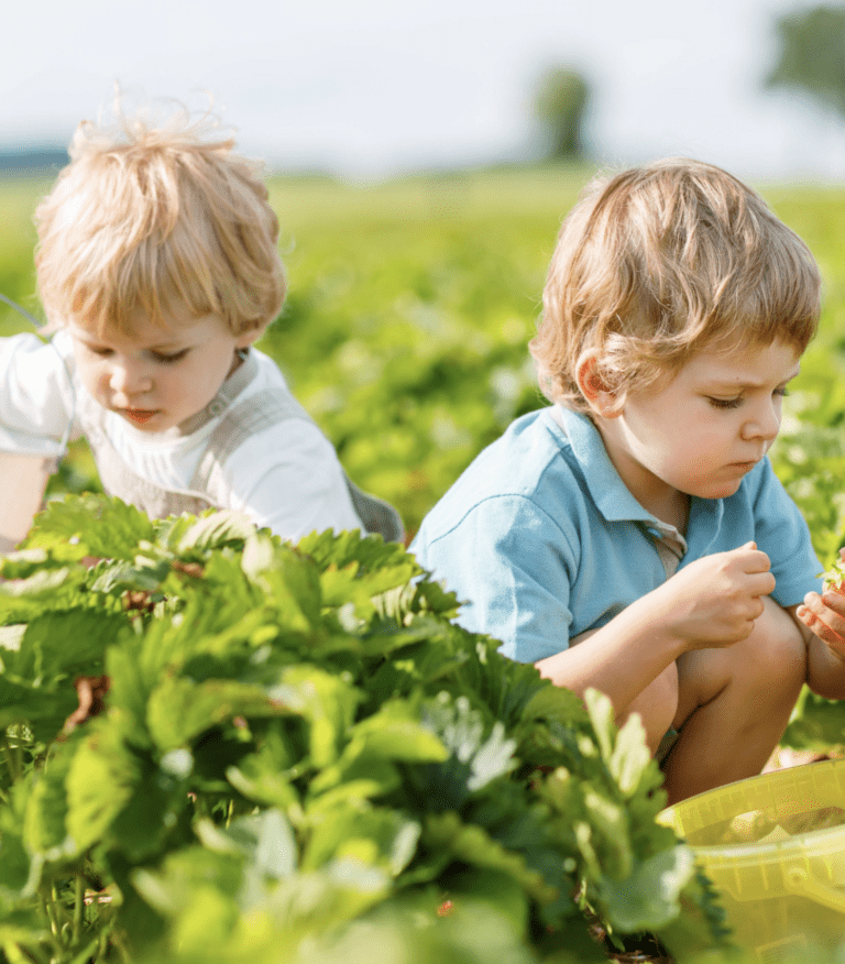 Learning Beyond the Classroom