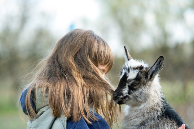 zoolab events at Little Angels Nursery of Leamington Spa