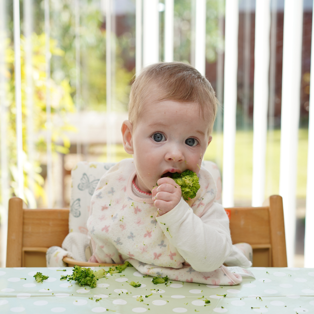 Baby, Meadow View, Weaning