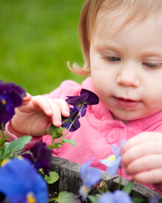 Why Outdoor Play Matters in the Early Years