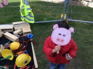Pigs