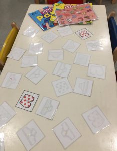 IMG_8260