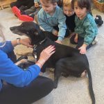 Pet visits at Play B C Preschool