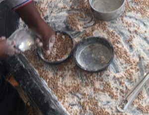 IMG_7631