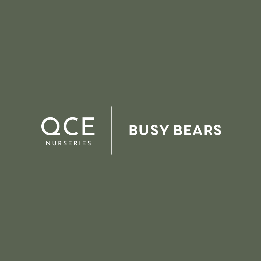 14155 - QCE Busy Bears Logo-01