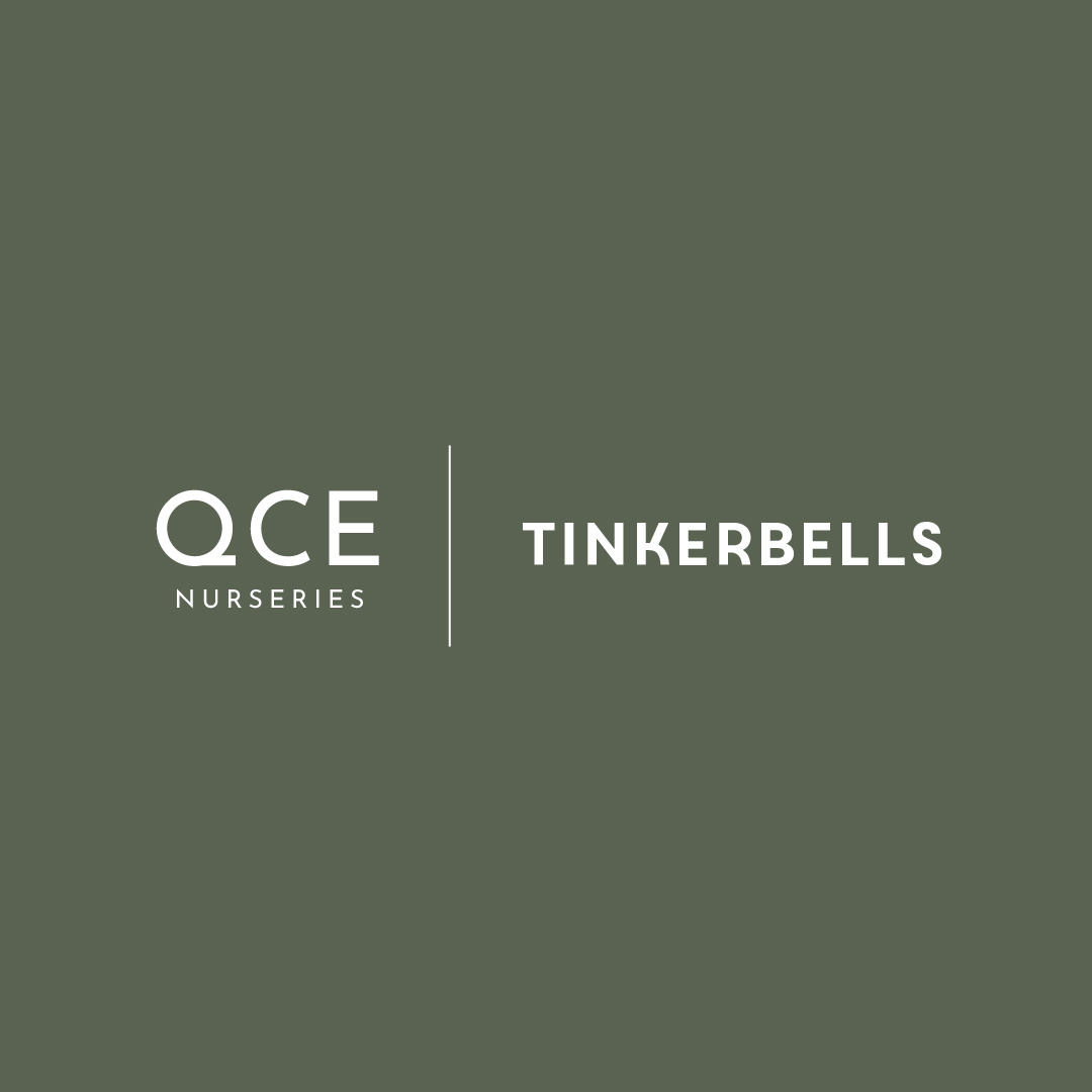 14155 - QCE Tinkerbells Logo-01