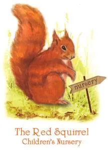 Red Squirrel