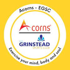 acorns