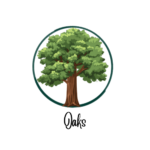 Web oaks