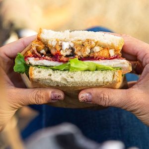 blog-sandwich-in-hands